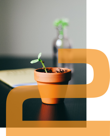 Business advisor desk with a plant in frame