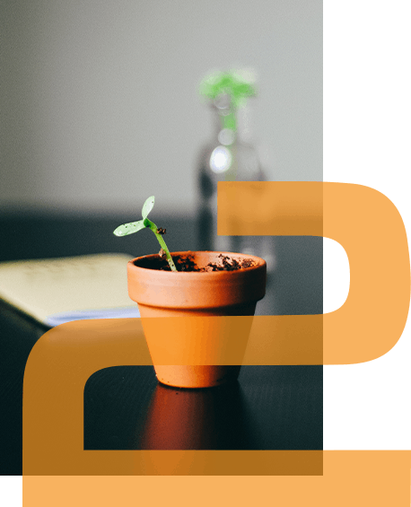 Business advisor desk with a plant in frame